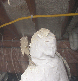 Palmdale CA crawl space insulation